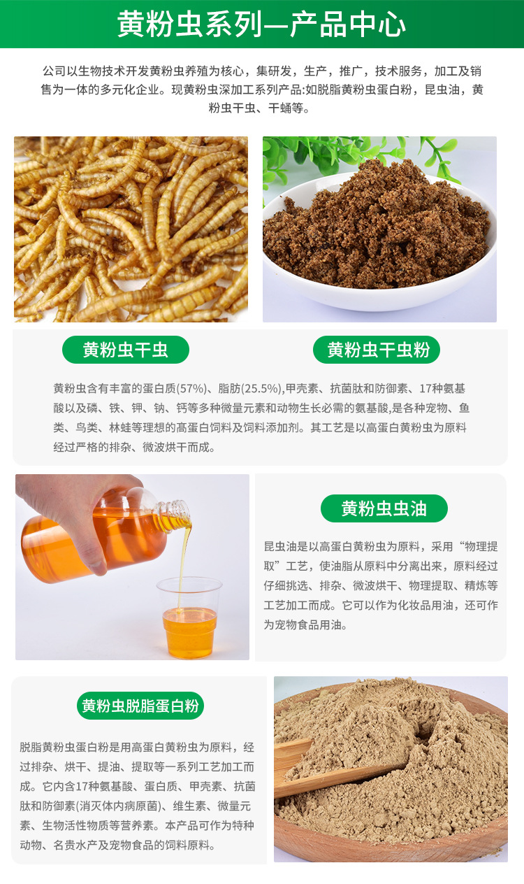 面包蟲干 小身材大營(yíng)養(yǎng)，一站式全寵物營(yíng)養(yǎng)解決方案